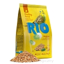 RIO