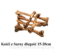 Kość z Sarny