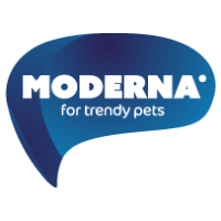 MODERNA 