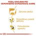 ROYAL CANIN DOG BREED CHIHUAHUA  saszetka 85g - 6