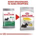 ROYAL CANIN DOG Mini Dermacomfort 8kg - 4
