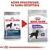 ROYAL CANIN DOG MAXI STERILISED 12kg - 4