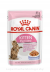 ROYAL CANIN KITTEN STERILISED w galaretce saszetka 85g