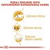 ROYAL CANIN BREED Siamese  2kg - 6