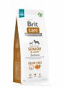 BRIT CARE DOG GRAIN-FREE SENIOR&LIGHT SALMON 12kg