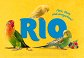 RIO GOURMET karma dla papużek i papug 18kg - 2
