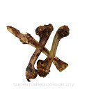 ONERS Kość z jelenia 1szt. 350-400g