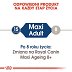 ROYAL CANIN DOG Maxi Adult saszetka 10x140g - 3
