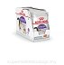 ROYAL CANIN STERILISED pasztet saszetka 85g - 2