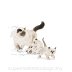 ROYAL CANIN Mother&Babycat 2kg - 3
