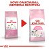 ROYAL CANIN Mother&Babycat 2kg - 7