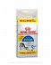 ROYAL CANIN INDOOR 27 10+2kg GRATIS 