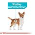 ROYAL CANIN DOG Urinary Care saszetka 85g - 3