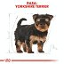 ROYAL CANIN DOG BREED Yorkshire Terrier Puppy 1.5kg - 5