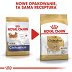 ROYAL CANIN DOG BREED Chihuahua Adult 1,5kg - 7
