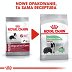 ROYAL CANIN DOG MEDIUM DIGESTIVE CARE 3kg  - 4