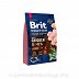 BRIT PREMIUM by Nature Junior L  3kg