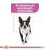 ROYAL CANIN DOG Mini Relax Care 8kg - 4