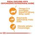 ROYAL CANIN INTENSE BEAUTY w galaretce 85g - 5