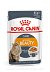 ROYAL CANIN INTENSE BEAUTY w galaretce 85g