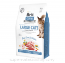 Brit Care Cat Grain-free Large Cats Power & Vitality 2kg