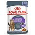 ROYAL CANIN Appetite Control w galaretce 12x85g