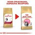 ROYAL CANIN BREED Persian Kitten 10kg - 2