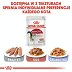 ROYAL CANIN INSTINCTIVE pasztet saszetka 12x85g - 6