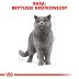 ROYAL CANIN BREED British Shorthair Adult 0,4kg  - 4
