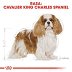 ROYAL CANIN DOG BREED Cavalier King Charles Adult 1,5kg - 4