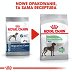 ROYAL CANIN DOG Maxi Digestive Care 3kg - 3