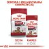 ROYAL CANIN DOG Medium Ageing 10+ saszetka 10x140g - 7