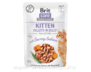 Brit Care Cat Pouch KITTEN Fillets in Jelly with Savory Salmon enriched with Carrot & Rosemary 85g