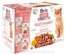 BRIT CARE KOT 12x85g FLAVOUR BOX POUCH