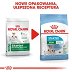 ROYAL CANIN DOG MINI STARTER Mother & Babydog 8kg - 5