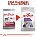 ROYAL CANIN DOG MEDIUM STERILISED 3kg - 4