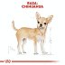 ROYAL CANIN DOG BREED Chihuahua Adult 0,5kg - 4