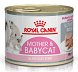 Royal Canin Mother & Babycat Instinctive Mousse karma mokra - mus dla kociąt i kotek karmiących puszka 195g - 2