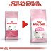ROYAL CANIN Kitten 4kg - 7