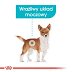 ROYAL CANIN DOG Mini Urinary Care 8kg - 3