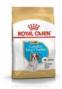 ROYAL CANIN DOG BREED Cavalier King Charles Puppy 1,5kg