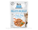 Brit Care Cat Pouches Fillets in Jelly with Tender Turkey & Shrimps 85g
