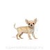 ROYAL CANIN DOG BREED Chihuahua Puppy 1,5kg - 3