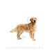 ROYAL CANIN DOG BREED Golden Retriver Adult 12kg - 3