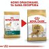 ROYAL CANIN DOG BREED Golden Retriver Adult 12kg - 7