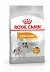ROYAL CANIN DOG Mini Coat Care 8kg