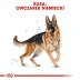 ROYAL CANIN DOG BREED German Shepherd Adult 11kg - 3