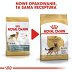 ROYAL CANIN DOG BREED German Shepherd Adult 11kg - 6