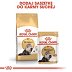 ROYAL CANIN BREED Persian Adult 400g - 5