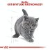 ROYAL CANIN BREED British Shorthair Kitten 10kg - 7
